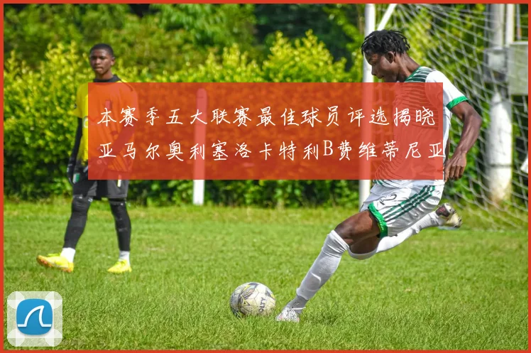 本赛季五大联赛最佳球员评选揭晓亚马尔奥利塞洛卡特利B费维蒂尼亚入围
