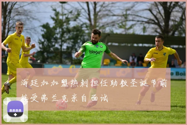 海廷加加盟热刺担任助教圣诞节前接受弗兰克亲自面试