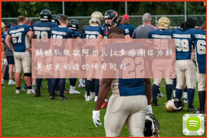 鹈鹕队致敬阿尔瓦拉多感谢你为新奥尔良创造的传奇时刻